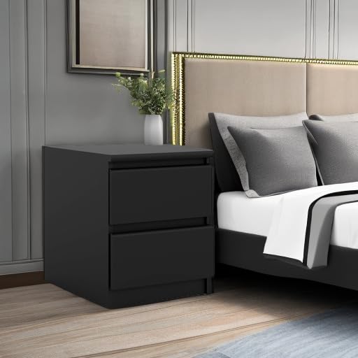 Tvilum 2 Drawer Bedroom Nightstand Nighstand, 19.69 in x 15.91 in x 19.49 in, Black